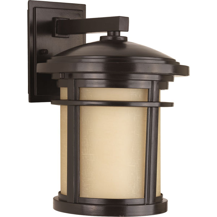 Progress P6085-2030K9 Wish Collection One-Light Medium LED Wall Lantern Main Image.jpg