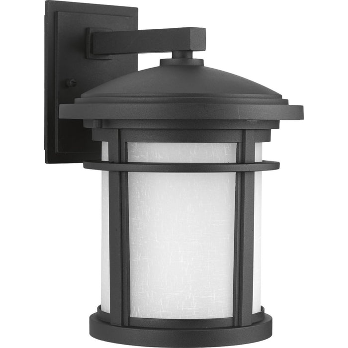 Progress P6085-3130K9 Wish Collection One-Light Medium LED Wall Lantern Main Image.jpg