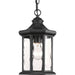 Progress P6529-31 Edition Collection One-Light Hanging Lantern Main Image.jpg