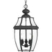 Progress P6533-31 New Haven Collection Three-Light Hanging Lantern Main Image.jpg