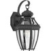 Progress P6610-31 New Haven Collection One-Light Small Wall Lantern Main Image.jpg