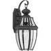 Progress P6611-31 New Haven Collection One-Light Medium Wall Lantern Main Image.jpg