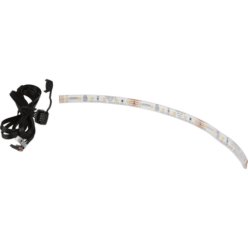 Progress P700008-000-27 Hide-a-Lite LED Tape 12" LED Silicone 2700K Tape Light, field cuttable every 4" Main Image.jpg