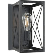 Progress P710012-031 Briarwood Collection One-Light Cerused Black Oak/Black Farmhouse Wall Sconce Light Main Image.jpg