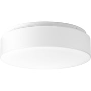 Progress P730002-030-30 One-Light 13-1/2" LED Flush Mount Main Image.jpg