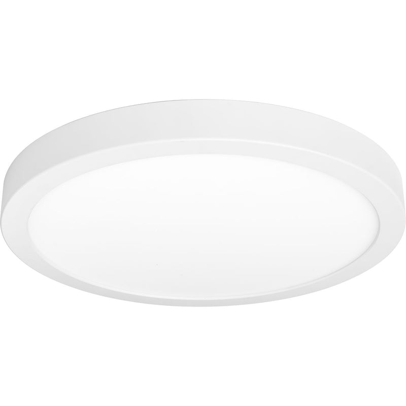 Progress P810017-030-30 Everlume Collection 14" Edgelit Surface Mount Main Image.jpg