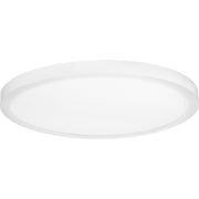 Progress P810018-030-30 Everlume Collection 18" Edgelit Surface Mount Main Image.jpg
