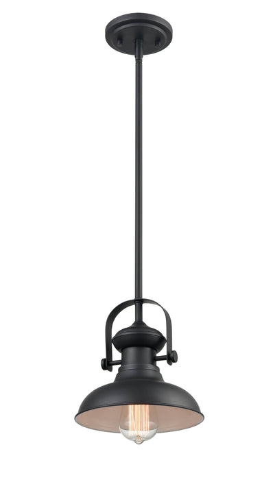 Shoppers Lighting PD2051-MB 1-Light Mini-Pendant, Matte Black Finish Main Image.jpg