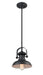 Shoppers Lighting PD2051-MB 1-Light Mini-Pendant, Matte Black Finish Main Image.jpg