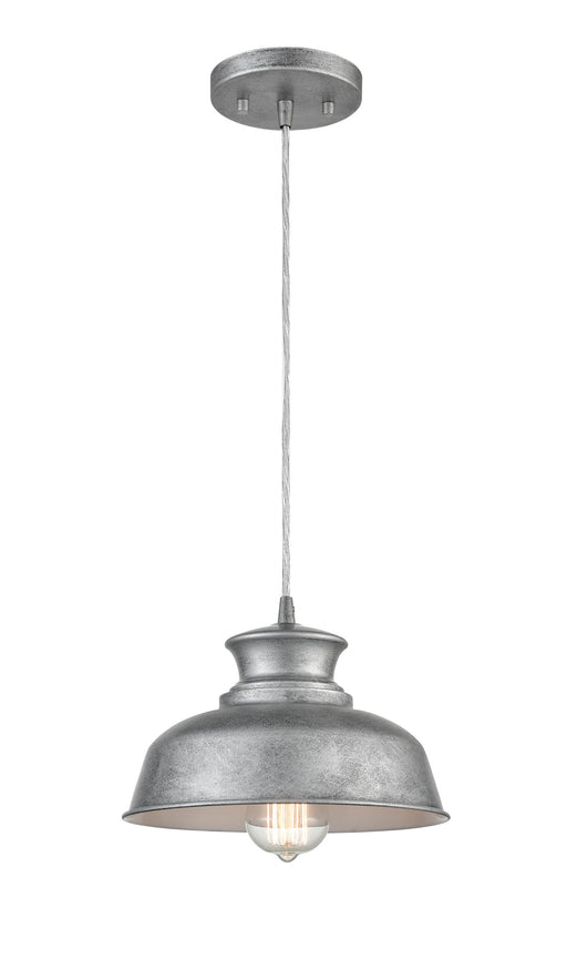 Shoppers Lighting PD2061-GA 1-Light Mini-Pendant, Galvanized Finish Main Image.jpg