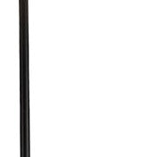 Z-Lite Hanging Extension Rod, 12" Matte Black Main Image.jpg