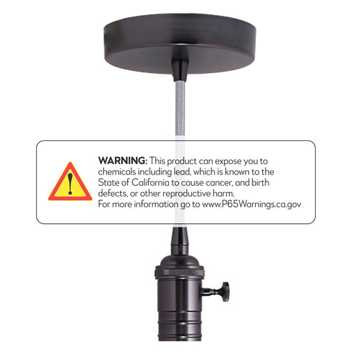 Bulbrite 810082 Pendants Pendant Gunmetal Alternate Image.jpg