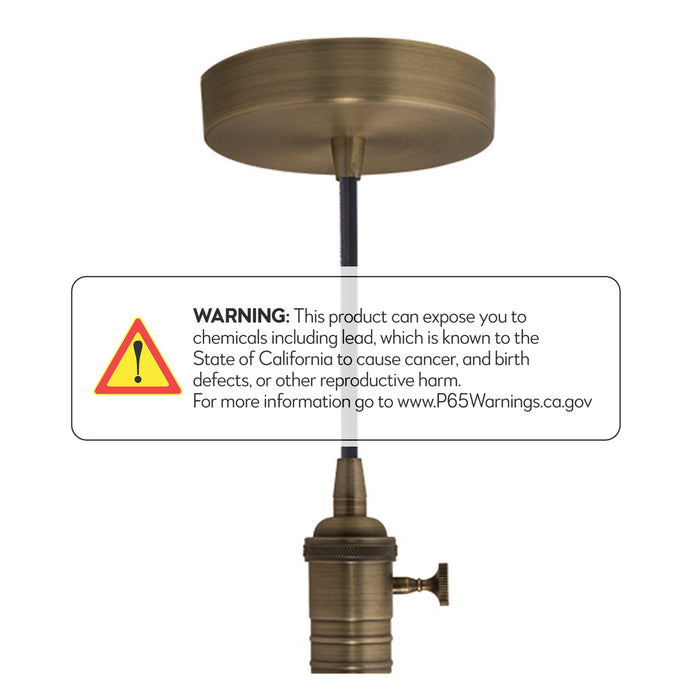 Bulbrite 810083 Pendants Pendant Warm Gold Alternate Image.jpg