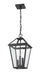 Z-Lite 579CHB-BK Talbot Three Light Outdoor Chain Mount Ceiling Fixture, Black Alternate Image.jpg