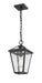 Z-Lite 579CHM-BK Talbot One Light Outdoor Chain Mount Ceiling Fixture, Black Alternate Image.jpg