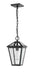 Z-Lite 579CHM-BK Talbot One Light Outdoor Chain Mount Ceiling Fixture, Black Alternate Image 2.jpg