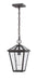 Z-Lite 579CHM-ORB Talbot One Light Outdoor Chain Mount Ceiling Fixture, Oil Rubbed Bronze Alternate Image 2.jpg