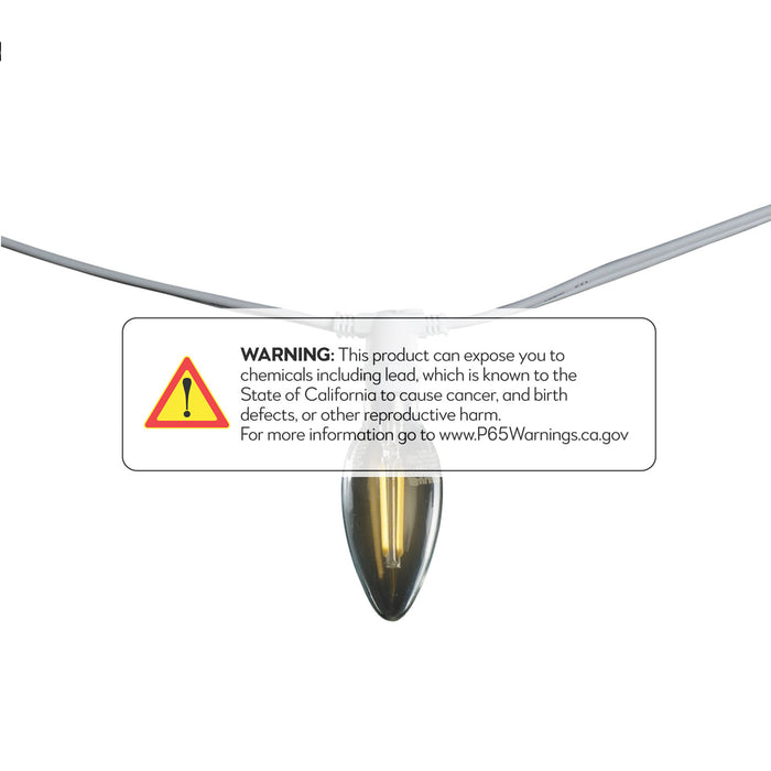 Bulbrite 810131 String Light Set White Alternate Image.jpg