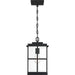 Quoizel MGN1908MBK Mulligan One Light Outdoor Hanging Lantern, Matte Black Alternate Image 2.jpg