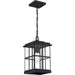 Quoizel MGN1908MBK Mulligan One Light Outdoor Hanging Lantern, Matte Black Alternate Image 3.jpg