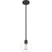 Quoizel PRUC1507MBK Pruitt One Light Mini Pendant, Matte Black Alternate Image 2.jpg