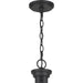 Quoizel PRUS5026MBK Pruitt Five Light Chandelier, Matte Black Alternate Image.jpg