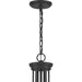 Quoizel PRUS5034MBK Pruitt Nine Light Chandelier, Matte Black Alternate Image.jpg