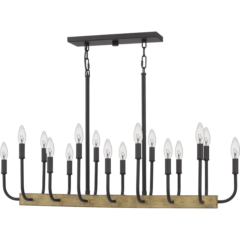 Quoizel COD139MBK Coda 16 Light Island Chandelier, Matte Black Alternate Image.jpg