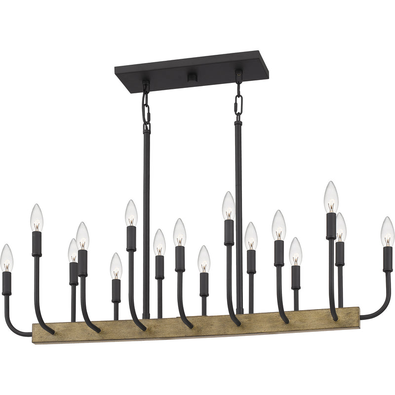 Quoizel COD139MBK Coda 16 Light Island Chandelier, Matte Black Alternate Image 2.jpg