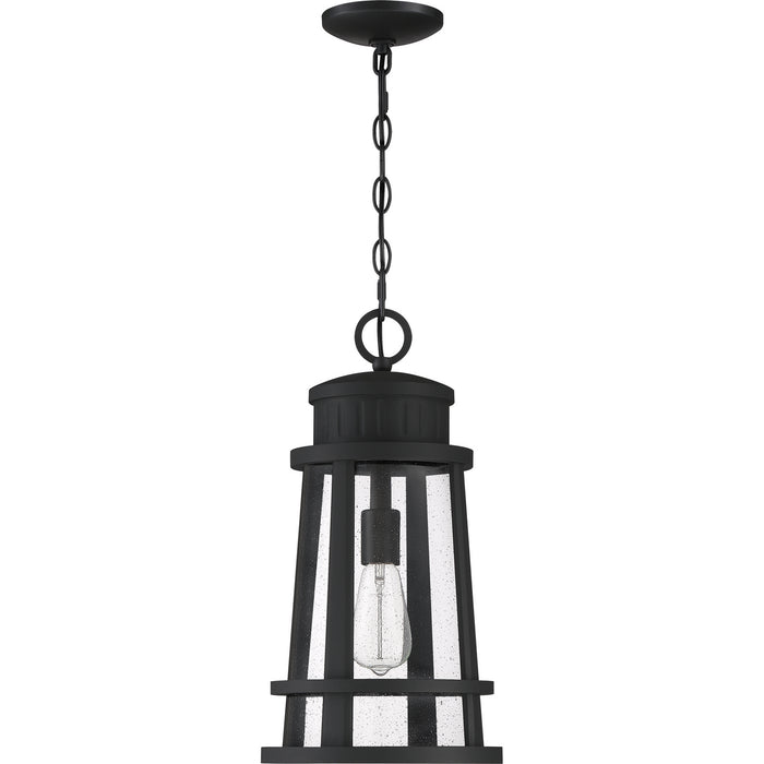 Quoizel DNM1910EK Dunham One Light Outdoor Lantern, Earth Black Alternate Image.jpg