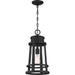 Quoizel DNM1910EK Dunham One Light Outdoor Lantern, Earth Black Alternate Image 3.jpg