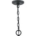 Quoizel QOP5181OK Babaton Ten Light Pendant, Old Black Finish Alternate Image.jpg