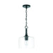 Capital Lighting 339311MB Carter One Light Pendant, Matte Black Alternate Image.jpg