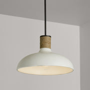 Capital Lighting 340612PW Destin One Light Pendant, Dark Pewter Alternate Image.jpg