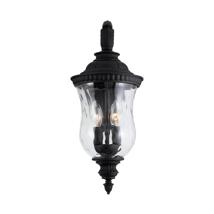 Capital Lighting 939822BK Ashford Two Light Outdoor Wall Lantern, Black Alternate Image.jpg