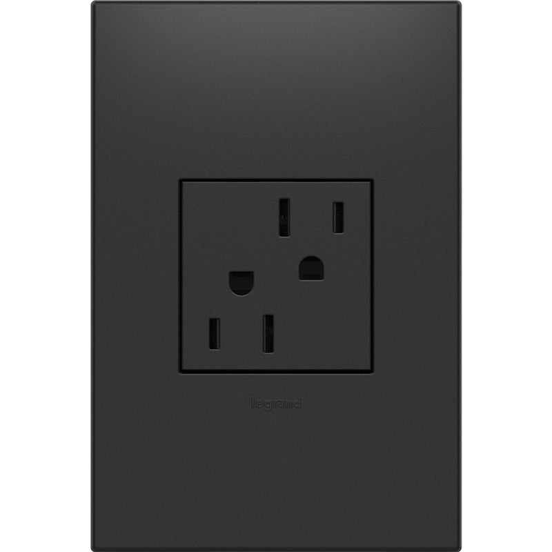 adorne® ARTR152G4 15A Dual Tamper-Resistant Outlet, Graphite Alternate Image.jpg