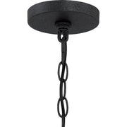 Quoizel BRT2817GK Brockton Four Light Pendant, Grey Ash Alternate Image 6.jpg