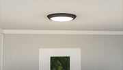 Quoizel VRG1616EK Verge LED Flush Mount, Earth Black Alternate Image 4.jpg