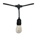 Satco S8020 LED String Light, Black Alternate Image 3.jpg