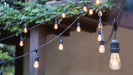 Satco S8020 LED String Light, Black Alternate Image.jpg