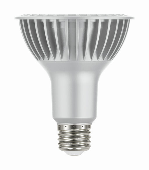 Satco S22242 Light Bulb, Silver Alternate Image.jpg