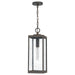 Quoizel WVR1907IZ Westover One Light Outdoor Hanging Lantern, Industrial Bronze Alternate Image.jpg