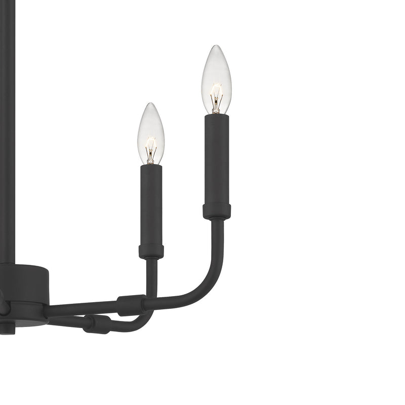 Quoizel ABR5018MBK Abner Five Light Chandelier, Matte Black Alternate Image 4.jpg