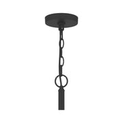 Quoizel ABR5028MBK Abner Eight Light Chandelier, Matte Black Alternate Image.jpg