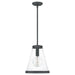 Quoizel QP5260MB Bristol One Light Mini Pendant, Mottled Black Alternate Image.jpg