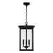 Capital Lighting 943844BK Barrett Four Light Outdoor Hanging Lantern, Black Alternate Image.jpg