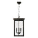 Capital Lighting 943844OZ Barrett Four Light Outdoor Hanging Lantern, Oiled Bronze Alternate Image.jpg