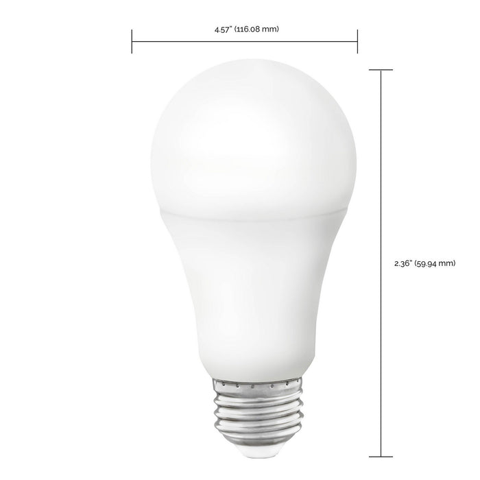 Satco S11253 Light Bulb, White Alternate Image 4.jpg