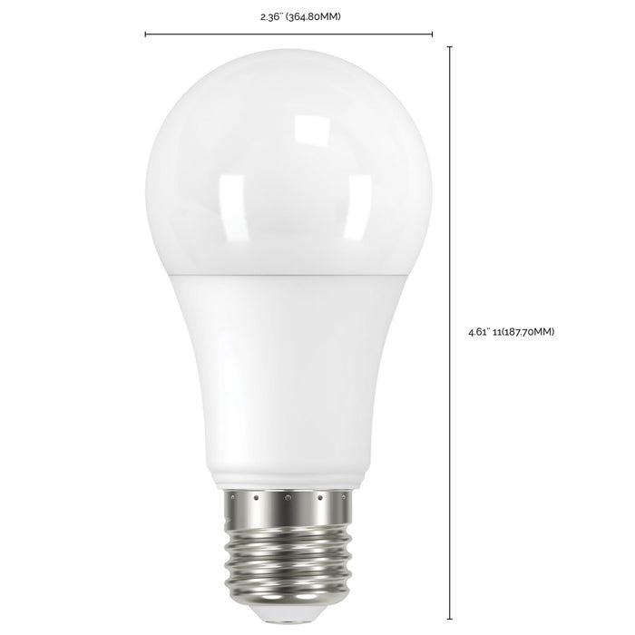 Satco S11433 Light Bulb, Frost Alternate Image.jpg