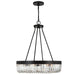 Crystorama ALI-B2010-CZ Alister Ten Light Chandelier Charcoal Bronze Alternate Image 2.jpg
